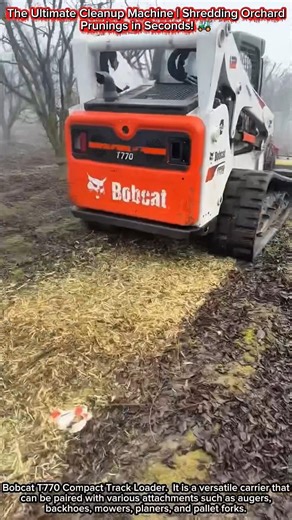 The Ultimate Cleanup Machine | Shredding Orchard Prunings in Seconds! 🚜