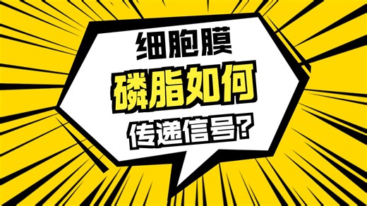 东乐自然基因膜片钳线上讲座第十六期-膜片钳电生理技术在细胞膜磷脂信号转导中的应用
