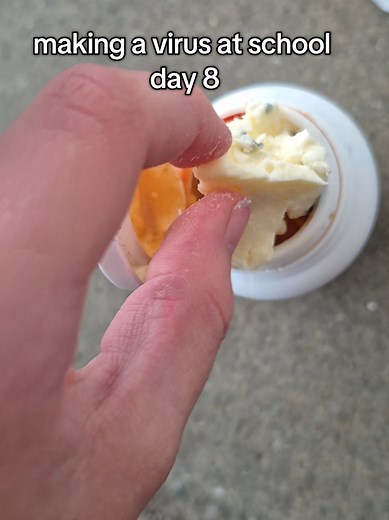 Exploring Blue Cheese: Day 8 of School Project
