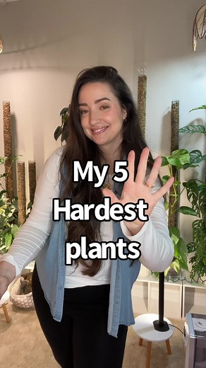Challenges of Growing Difficult Plants: Before & After Care Guide