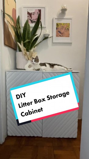 DIY Litter Box Storage Cabinet: Transform Your Home with This Aesthetic Project