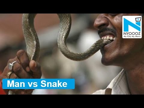 Snake bites a man, he bites back as revenge, both die