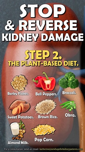 How to Stop and Reverse Kidney Damage #kidneydisease #kidneyfailure #dialysis #chronickidneydisease #diabetes #highbloodpressure #creatinine #kidneyrepair #kidneyhealth #ckd #00kidney | Health support for kidney dialysis