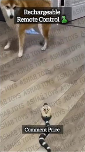 Remote Control RC Cobra Snake Toy 😱 | Realistic & Fun Prank Toy #viraltoys #trendingtoys #rctoys