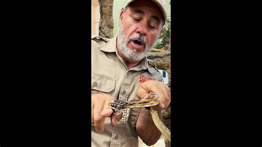 I got bit by a two headed snake 😳