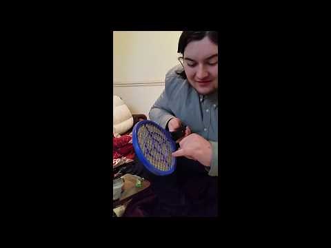 Touching an electric fly swatter