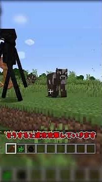 mob同士を戦わせるmod!?#shorts #java版 #ゆっくり実況 #minecraft #マイクラ