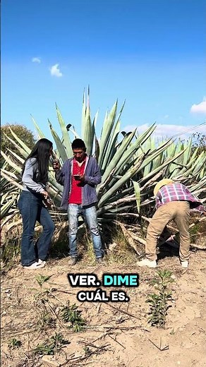 Por un beso con la patrona adivina la CANCIÓN 😆🙌🏽🤣