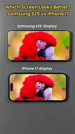 Samsung S25 vs iPhone 17: 120Hz Face-Off! Is Apple FINALLY Caught Up?