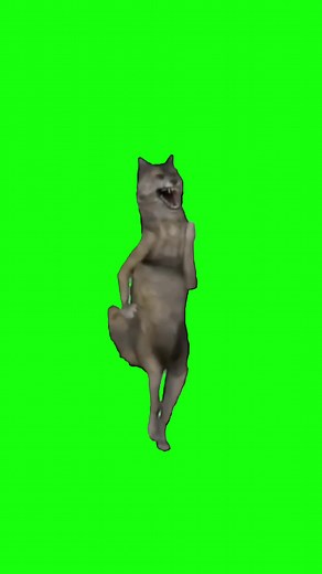 Dancing Wolf Meme | Green Screen #wolf #wolfdancing #dancingwolf #viral #trending #meme #memes #fyp #dance #dancing