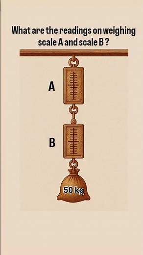 What Are the Readings on Scale A & B? 🤔 | 50 Kg Weighing Scale Puzzle | #mathspuzzle #sciencefactsle