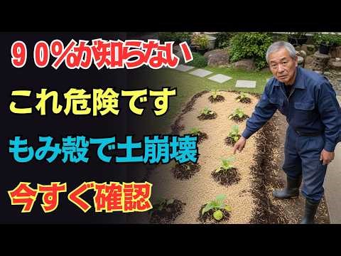 もみ殻の正しい使い方で土が激変｜90%が知らない本当の土づくり術