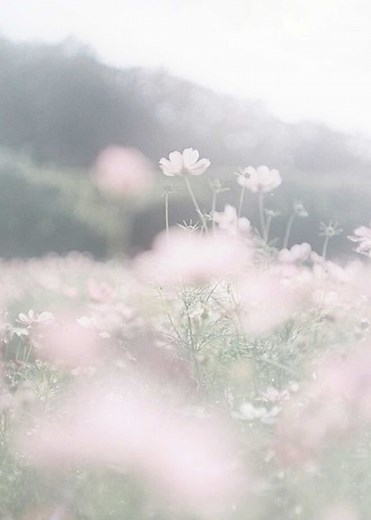 Easy Aesthetic Layouts for Your Style Change