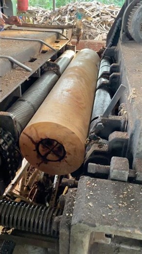 Peeling wood sawmill 🪵|#treecutting #sawmill #peeling