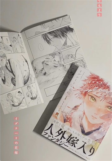 Bride of Ignat: Discover the Manga Adventure