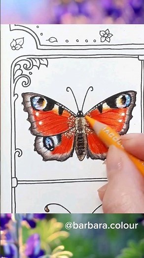 Peacock Butterfly coloring - TIMELAPSE