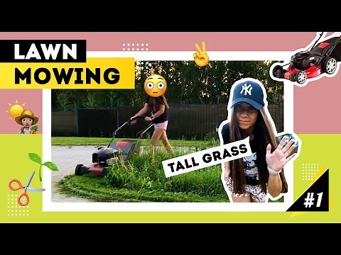 Watch Me Working: 🌱LAWN MOWING / TALL THICK GRASS CLEAN UP / YARD CARE / MOWER ASMR / SATISFYING!