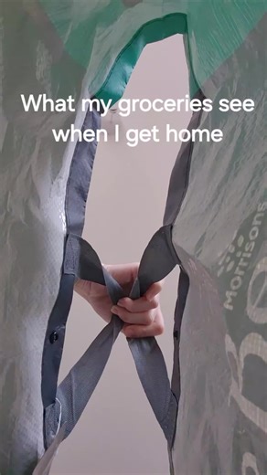 Cocker Spaniel's Adorable Moment on TikTok