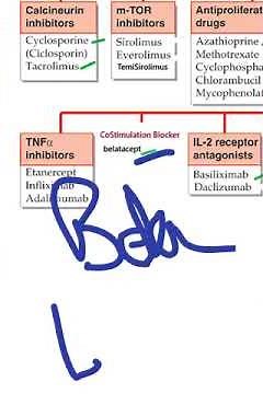 Medicine ImmunoSuppressants used in Transplant Drugs Classification viva pharmacology