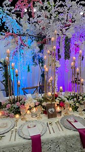 Edgardo Negron on Reels