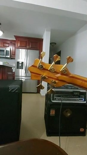 Bass Cabinet Comparison- SWR Goliath 4x10 vs Eden XLT 2X10 ( with Faital pro)