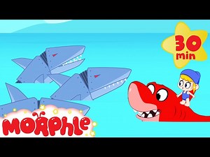 Shark Attack - HELP MORPHLE! | Robot Sea Adventure | Cartoons for Kids | Morphle TV - Videos For Kids
