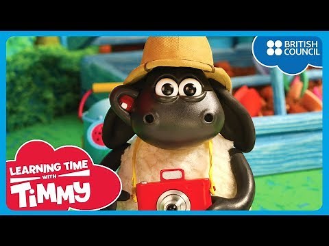 Jungle Animals | Learning Time With Timmy