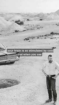 SIMON BAKER On The Visual Appoach of LIMBO