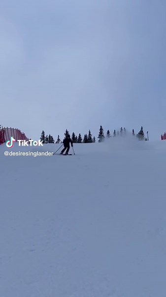 Dynamic Downhill Skiing Skills in Snowy Landscape