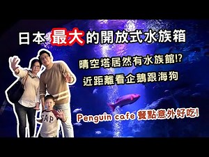 【日本東京ep.6】下雨去哪? 晴空塔居然有水族館！開箱日本最大的開放式水族箱，近距離看企鵝競速、海狗游泳跟花園鰻進食｜海月水母燈光秀直擊｜Penguin Cafe餐點意外好吃！激推室內親子景點！