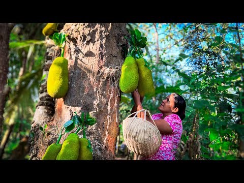 let's taste the fish balls & wade made from baby jackfruit, grown in a beautiful environment