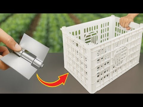 The Secret Use of Plastic Fruit Containers! Every Home Needs This, But No One Makes It