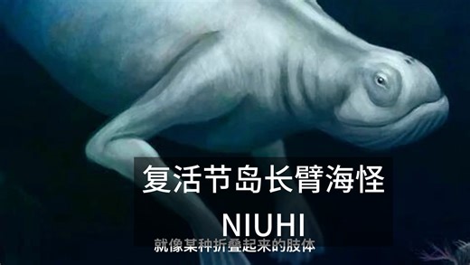 【UMA播客】波利尼西亚海怪竟是南极来客