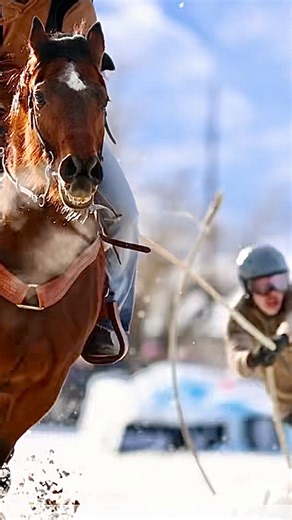 244K views · 4.1K reactions | Hey Utah State! Looking for the best date idea ever? We’ve got you. Students get $10 off tickets at our Cache Valley Skijoring event. Welcome to the wildest winter event in Utah! Use code USU-CREW at checkout → www.proskijor.com #horses #skijoring #cowboys #utahstate #utah #collegestudent #utahstateuniversity #cowgirls #horsesofinsta #horselovers | PRO Skijor | Facebook
