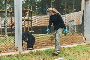 Chimp Life - Care & Daily Enrichment - Support Our Chimps