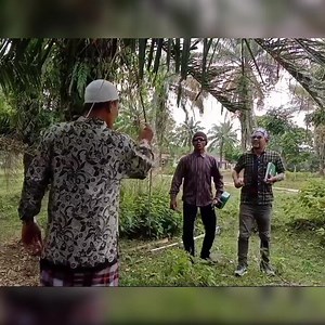 Wak abu CIK Talef || Atok labu Bagian 2 | Atok Labu 01