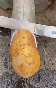 Gadget | Technology | Paid Promotion | @techno.gadget.world Follow me 👉 @techno.gadget.world #americanhorrorstory #hockey #nature #yoga #pc #coach #nature #yoga #pc #coach... | Instagram