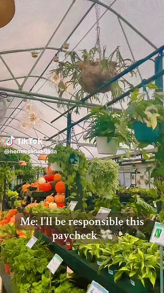 The Key to Happiness: Embracing Plant Parenthood