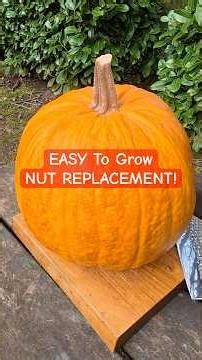 Sustainable EASY to GROW Alternative to NUTS ...