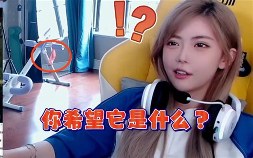 周姐被提问椅子上挂的是什么？“幻想”让哈哈成为“永动机”