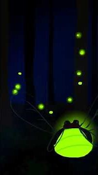 Fireflies 🪲🐛| Glow To Sound | #Animation