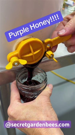Ever seen purple honey? It is extremely rare and can only be found in our neck of the woods!