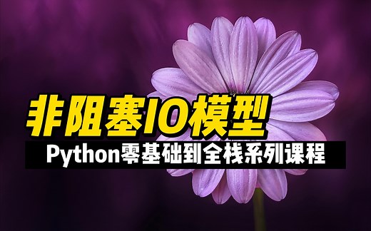 非阻塞IO模型 - 《Python零基础到全栈系列》