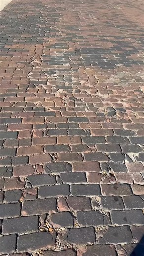 In case you forgot — we’ve created 5 ready-to-go protocols inside our Fullscript shop! 🙌 Take the guesswork out of life’s most common issues — from inflammation to antibiotics. Comment “FULLSCRIPT” to get inside! P.S. 👀 Our Black Friday sale on these practitioner-grade products is coming very soon! | Amy Beard, MD