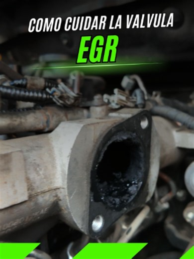 COMO CUIDAR LAS VALVULAS EGR #eurodiesel #diesel #diagnóstico #inyectores