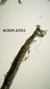 2.4M views · 778 reactions | You can’t escape microplastics...