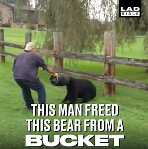 This bear was going mad with its head stuck in a bucket, until these men saved him 🙌 | LADbible