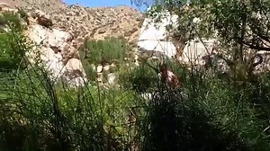 Deep Creek Hot Springs Camping and Jumping