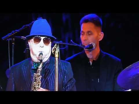 Van Morrison - Have I told you lately