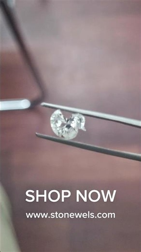 Duck Shape Lab-Grown Diamond